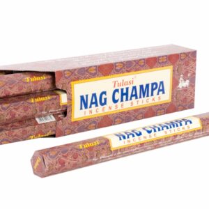 INCIENSO VARILLA SET 10 AROMA NAG CHAMPA 42X5X5 42 CM